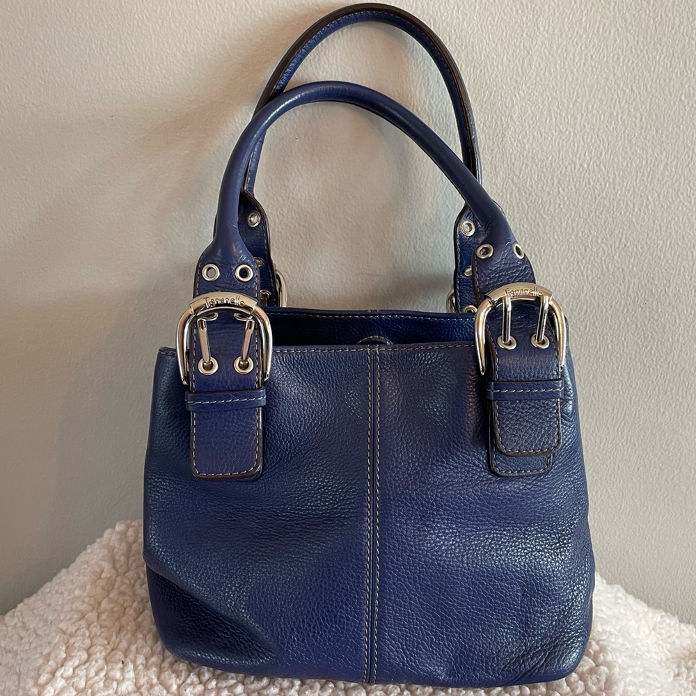 Tignanello leather purse